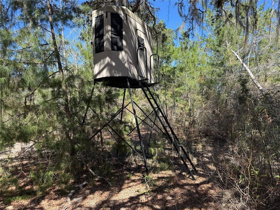 For Sale: $275,000 (14.31 acres)