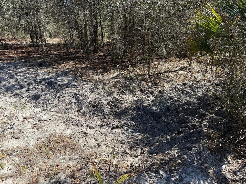 For Sale: $275,000 (14.31 acres)