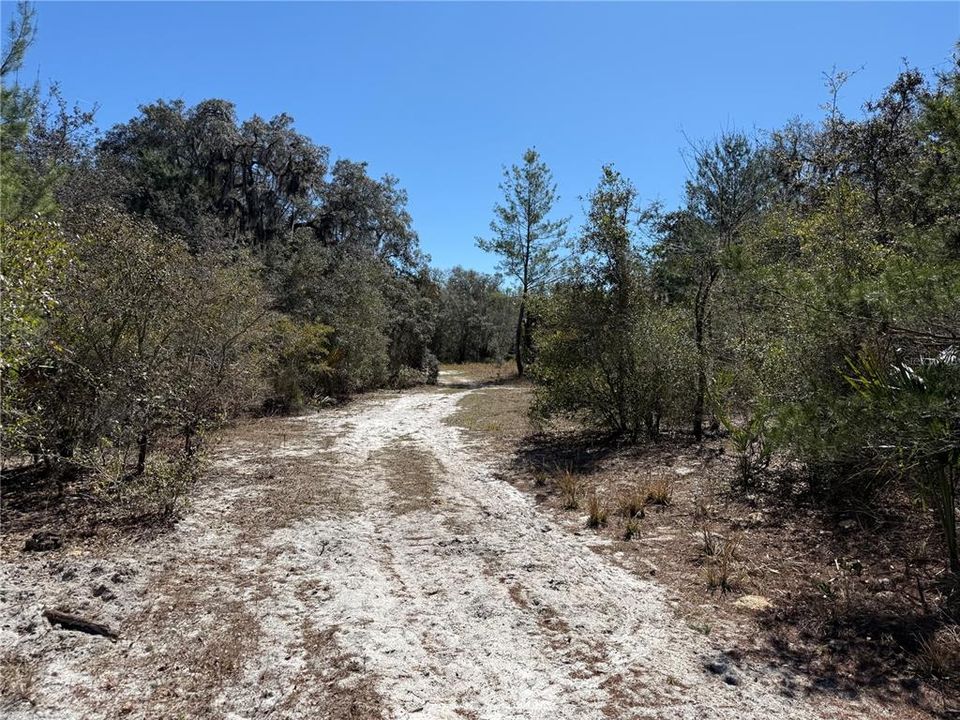 For Sale: $275,000 (14.31 acres)