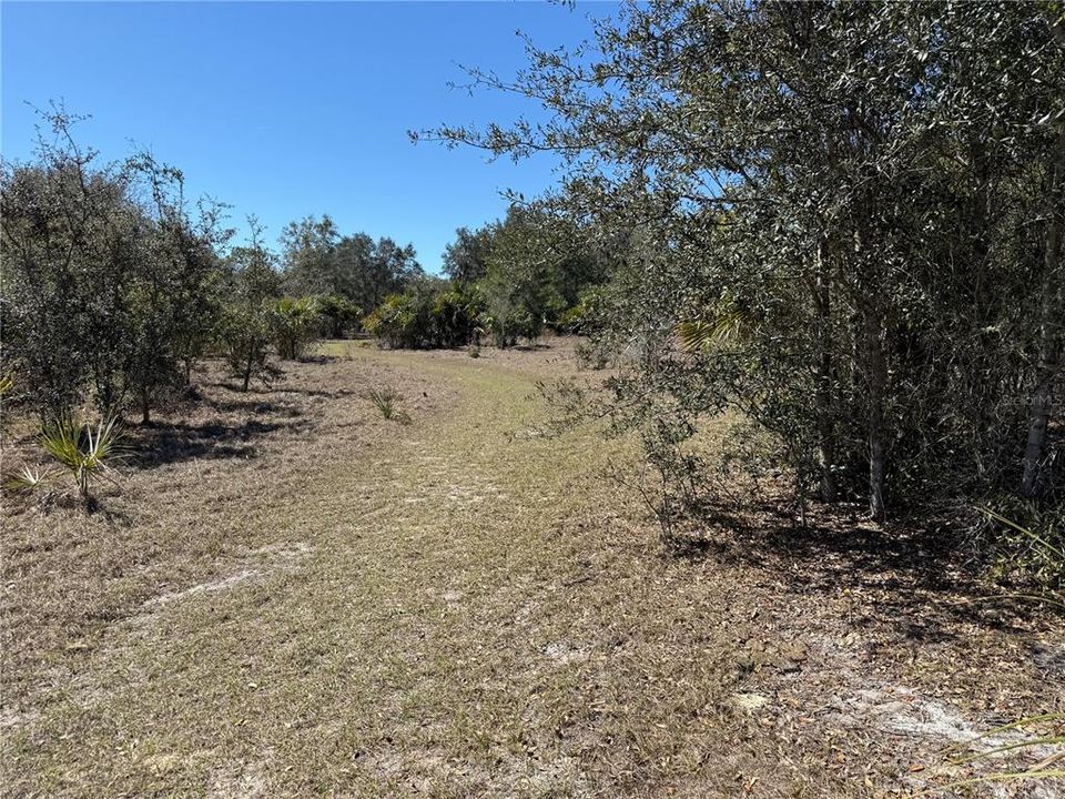 For Sale: $275,000 (14.31 acres)