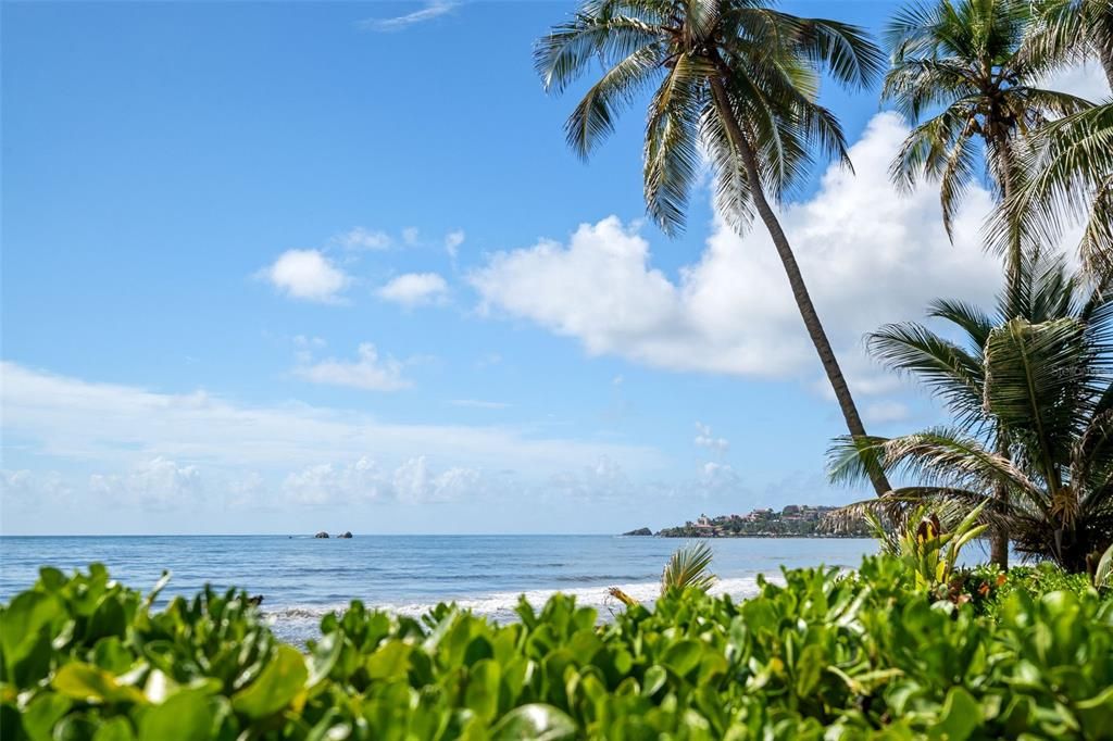 待售: $449,000 (1 贝兹, 1 浴室, 1000 平方英尺)