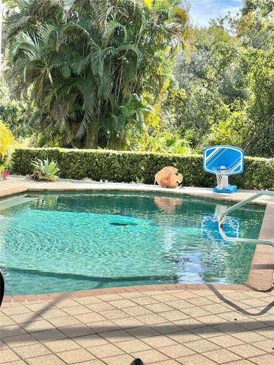 待售: $899,000 (4 贝兹, 3 浴室, 3009 平方英尺)