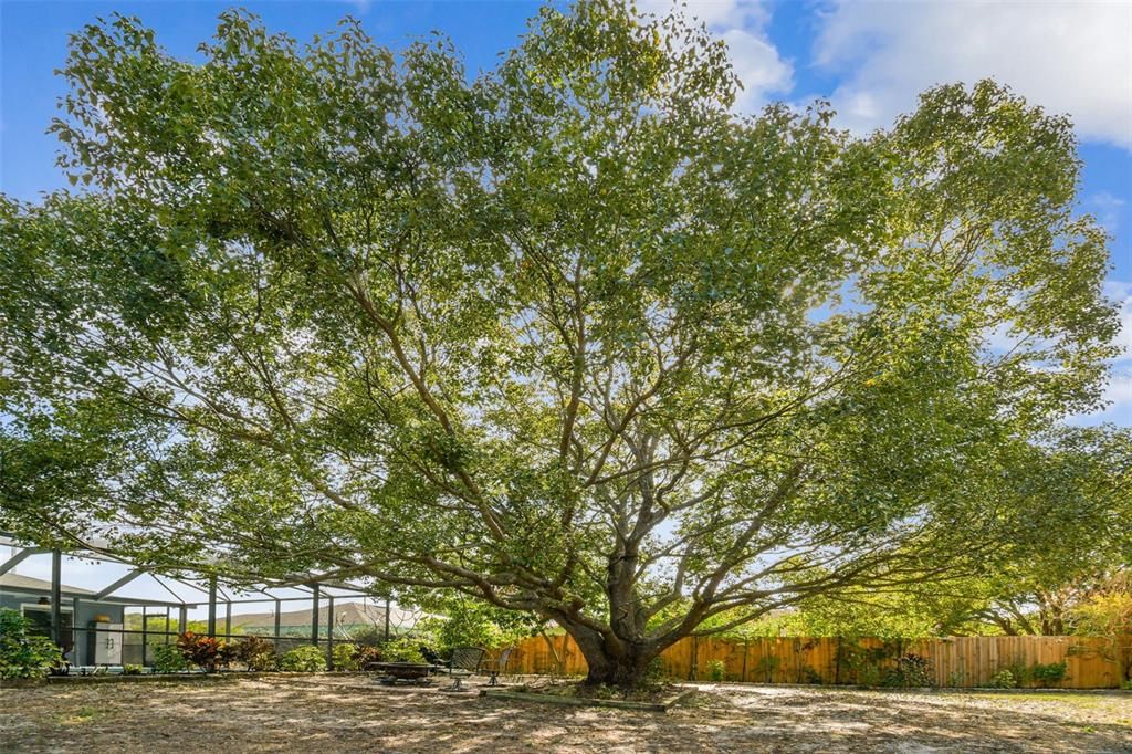 En Venta: $449,900 (3 camas, 2 baños, 1465 Pies cuadrados)