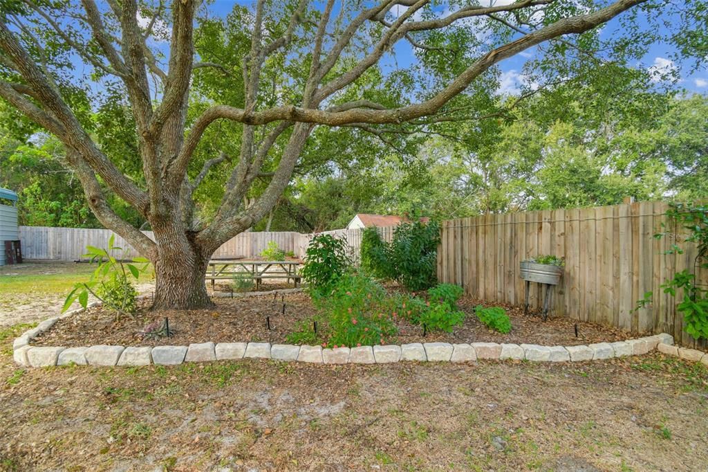 En Venta: $449,900 (3 camas, 2 baños, 1465 Pies cuadrados)