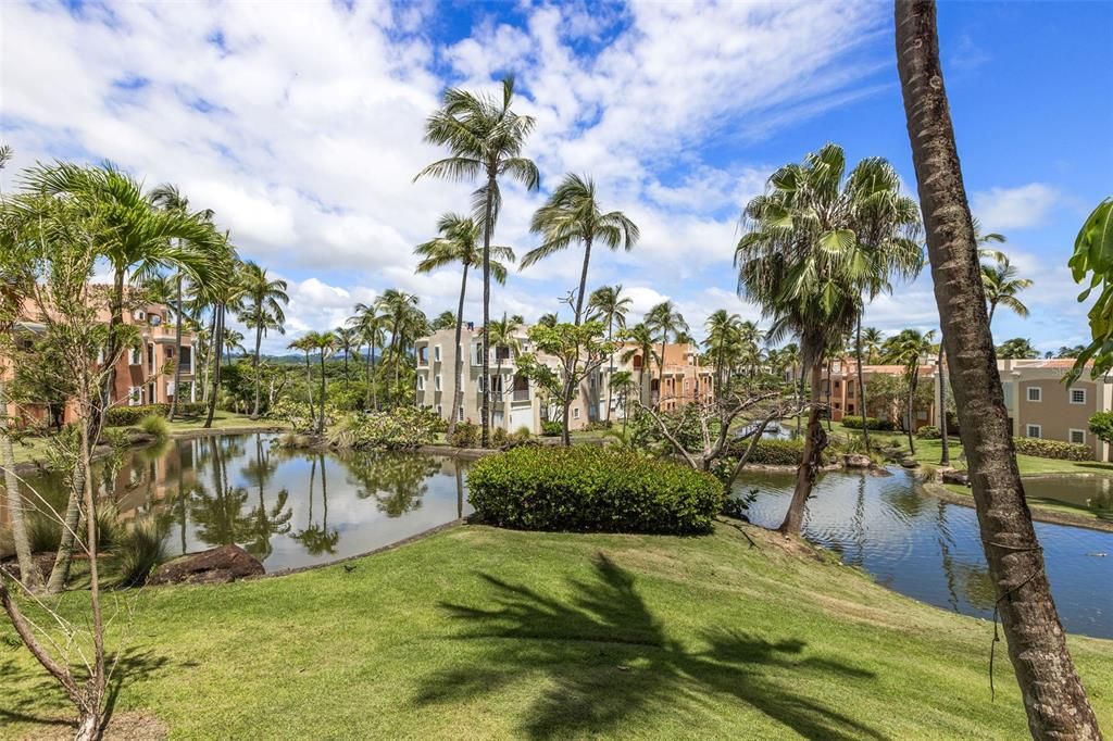 待售: $415,000 (2 贝兹, 2 浴室, 1348 平方英尺)