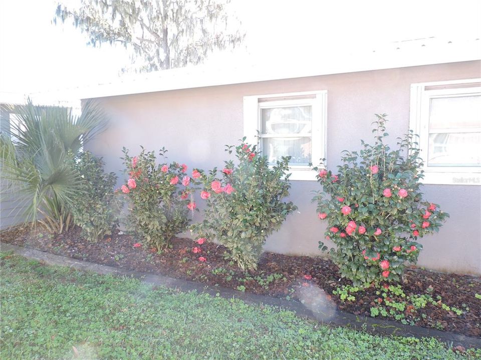 待售: $449,000 (3 贝兹, 2 浴室, 2130 平方英尺)