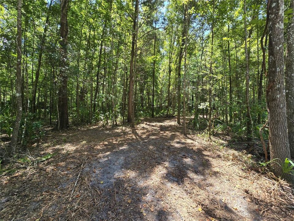 En Venta: $36,000 (1.01 acres)