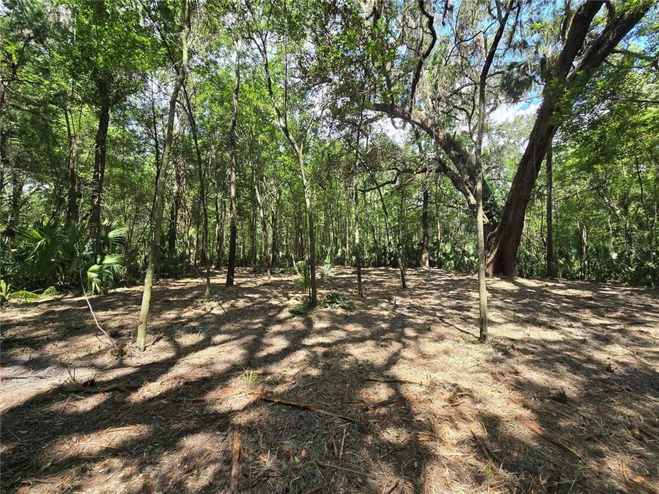 En Venta: $36,000 (1.01 acres)