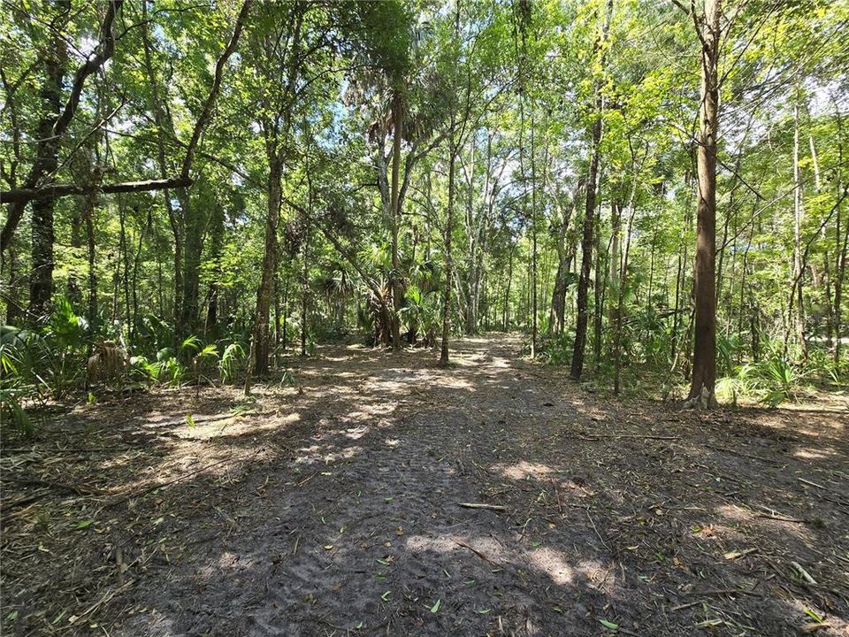 En Venta: $36,000 (1.01 acres)