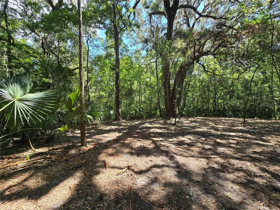 En Venta: $36,000 (1.01 acres)