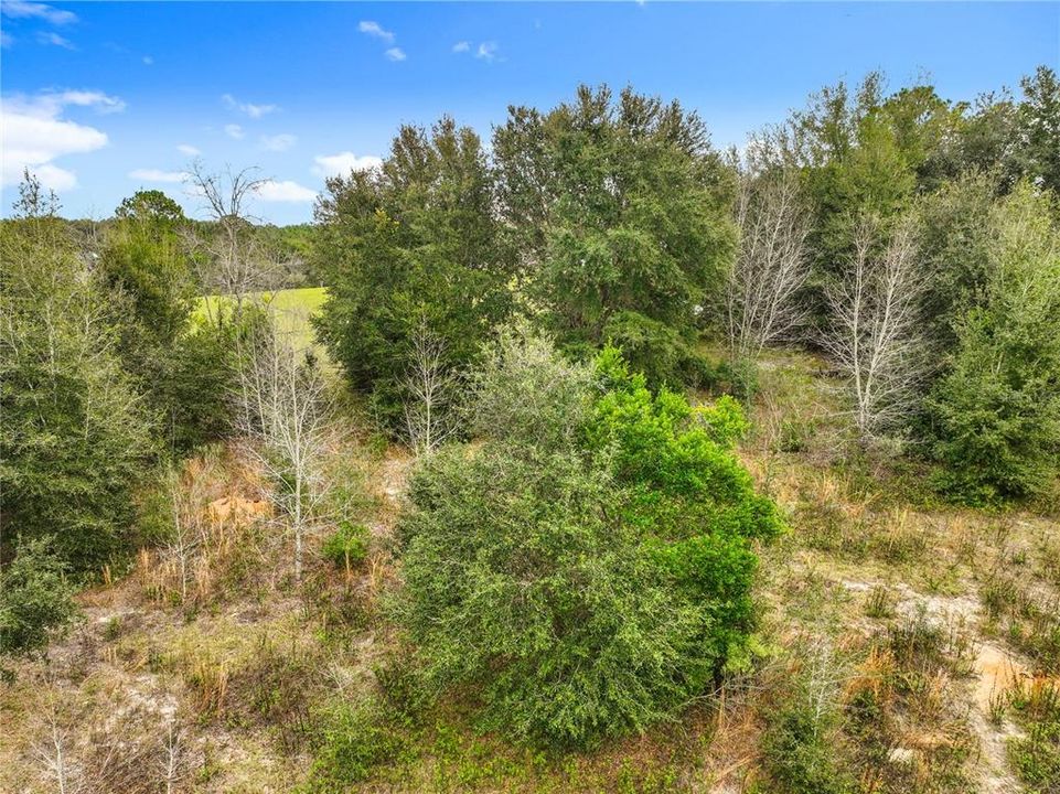 На продажу: $89,900 (1.06 acres)