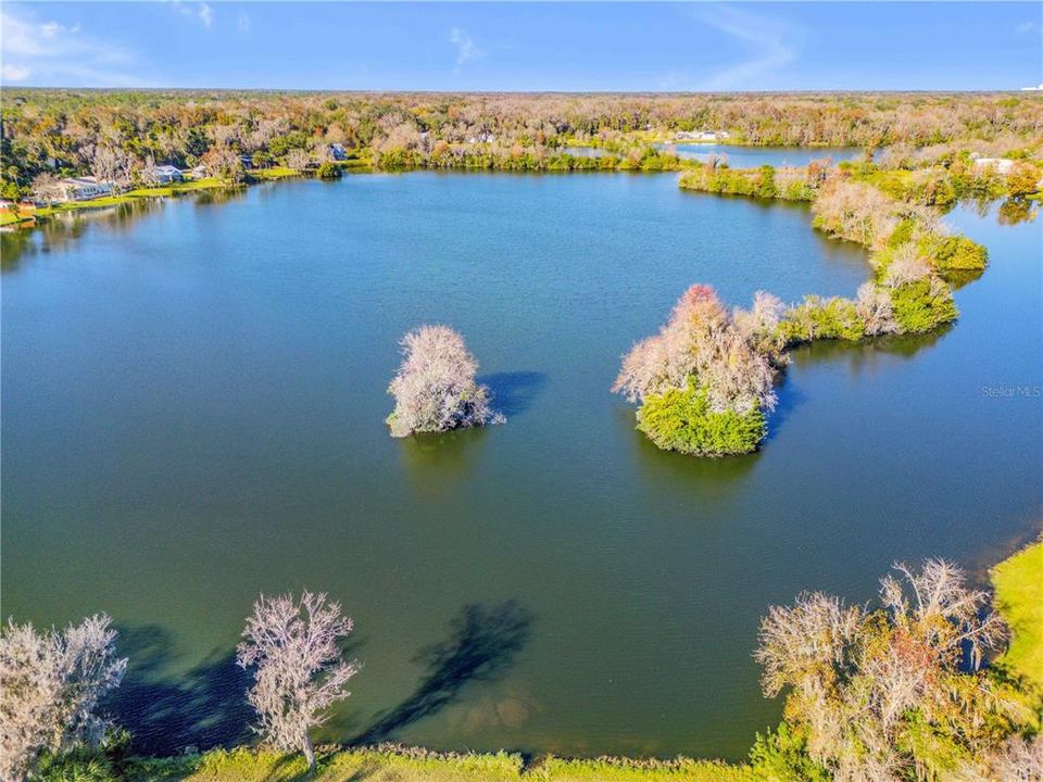 En Venta: $1,395,000 (3 camas, 2 baños, 2398 Pies cuadrados)