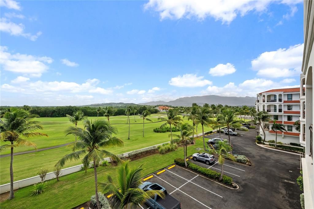 待售: $1,470,000 (3 贝兹, 3 浴室, 3000 平方英尺)