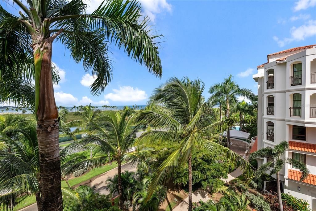 待售: $1,470,000 (3 贝兹, 3 浴室, 3000 平方英尺)