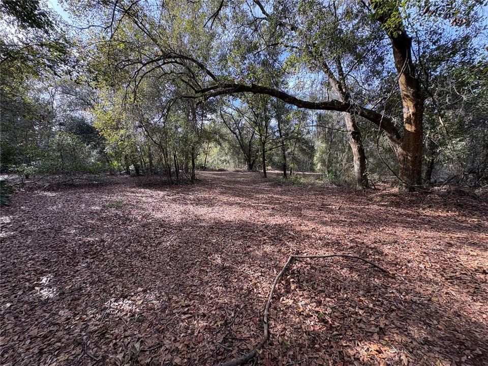 待售: $249,900 (3 贝兹, 2 浴室, 924 平方英尺)