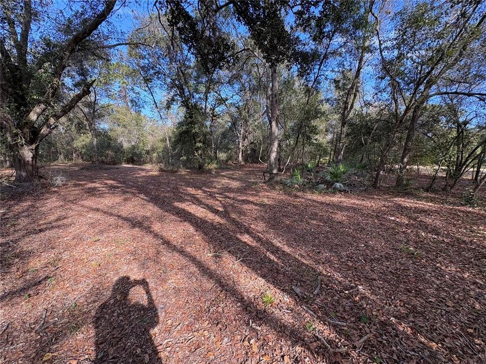 待售: $249,900 (3 贝兹, 2 浴室, 924 平方英尺)