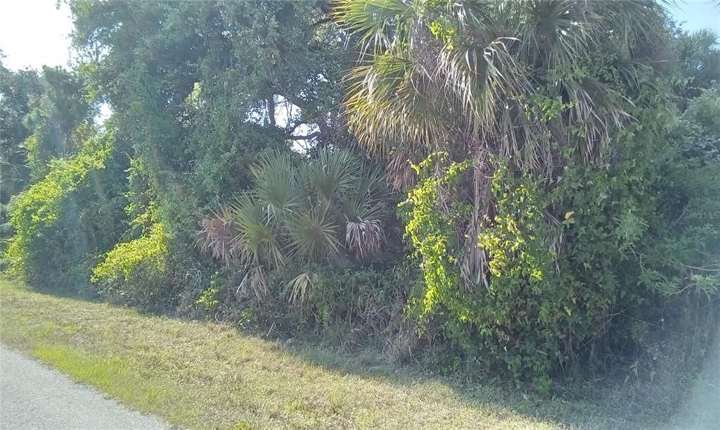 For Sale: $13,500 (0.25 acres)