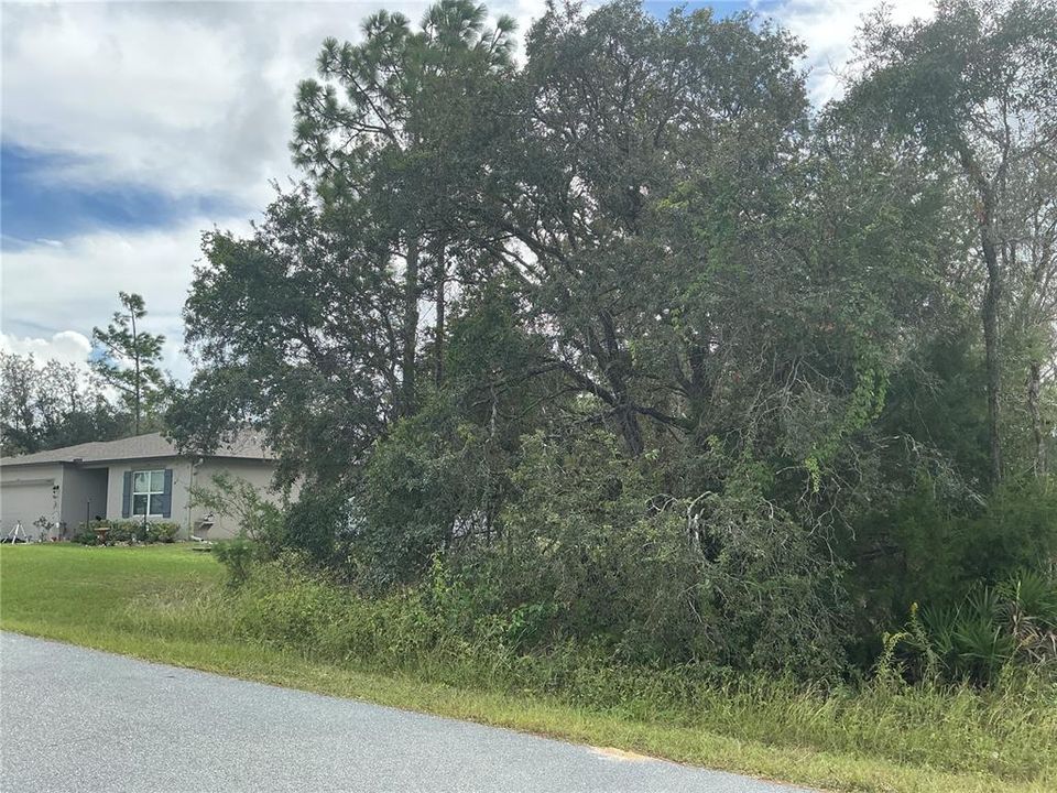 For Sale: $44,000 (0.46 acres)