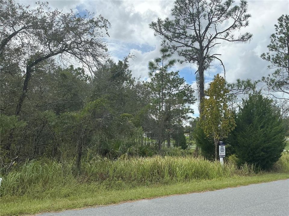 For Sale: $44,000 (0.46 acres)