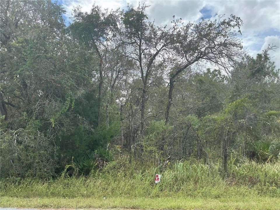 For Sale: $44,000 (0.46 acres)