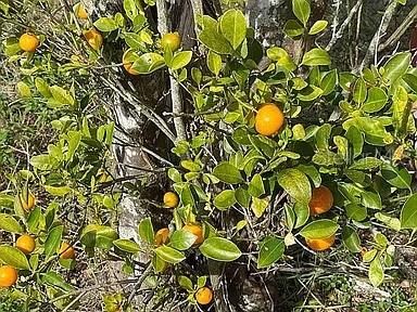 待售: $300,000 (3 贝兹, 2 浴室, 1427 平方英尺)