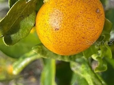 待售: $300,000 (3 贝兹, 2 浴室, 1427 平方英尺)