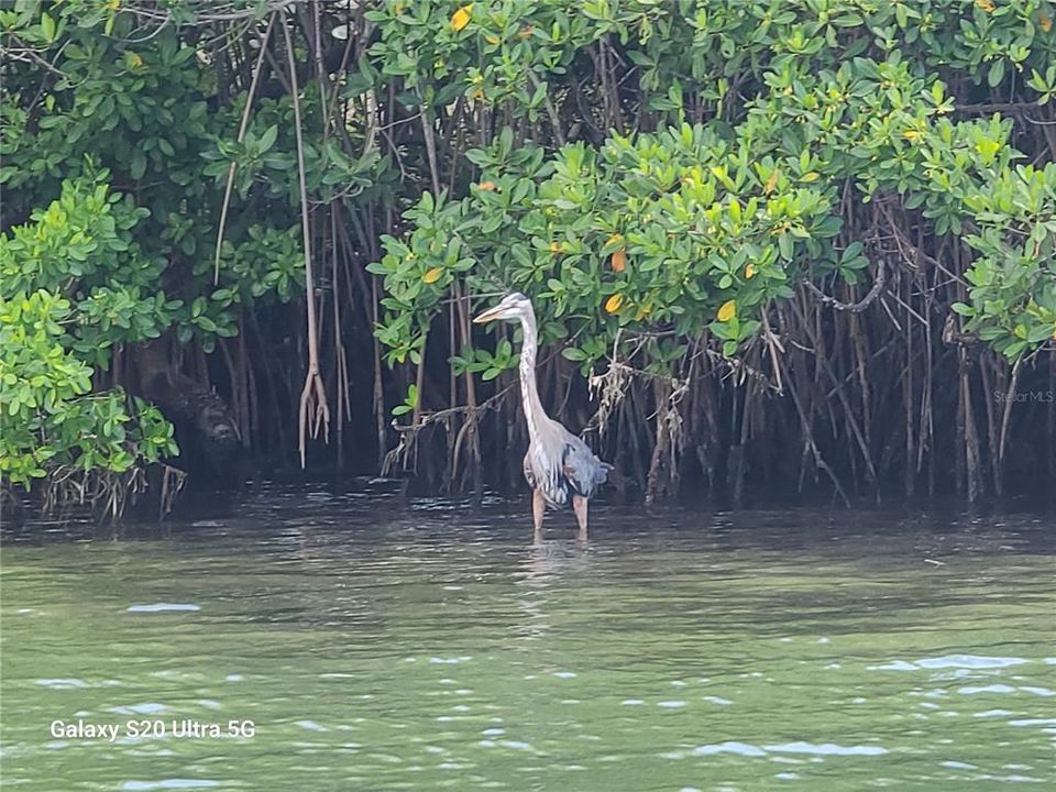 For Sale: $1,185,000 (3 beds, 2 baths, 2298 Square Feet)