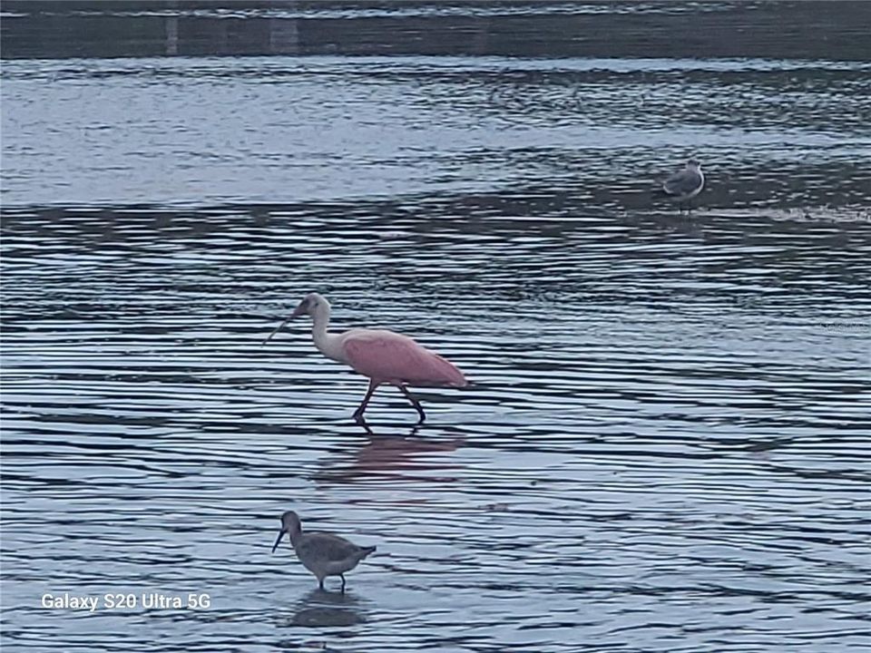For Sale: $1,185,000 (3 beds, 2 baths, 2298 Square Feet)