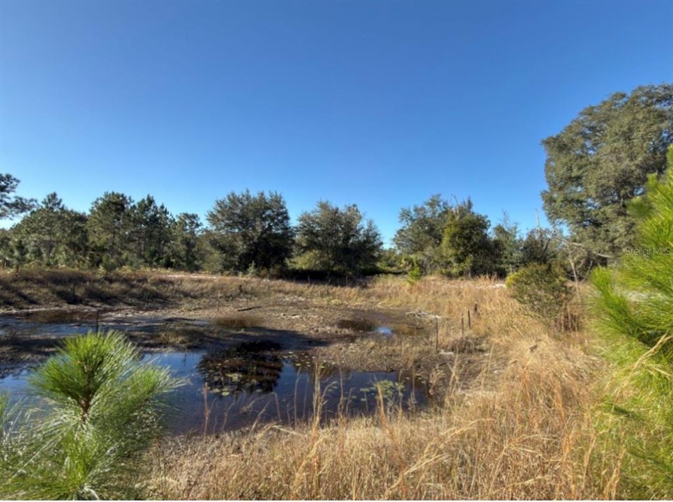 For Sale: $575,000 (10.45 acres)