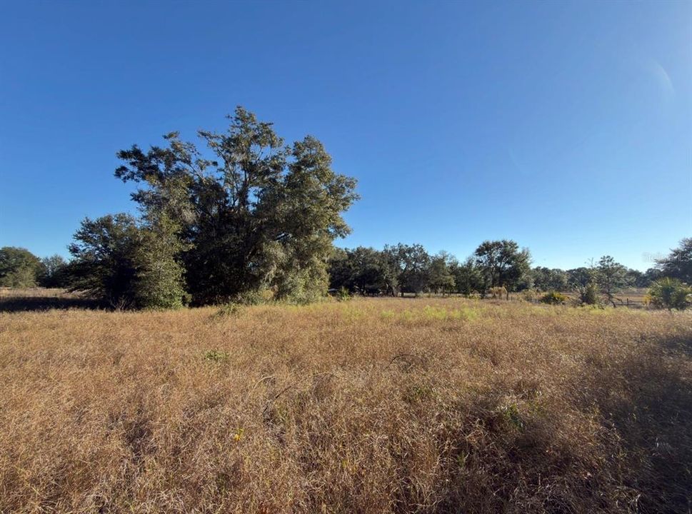 For Sale: $575,000 (10.45 acres)