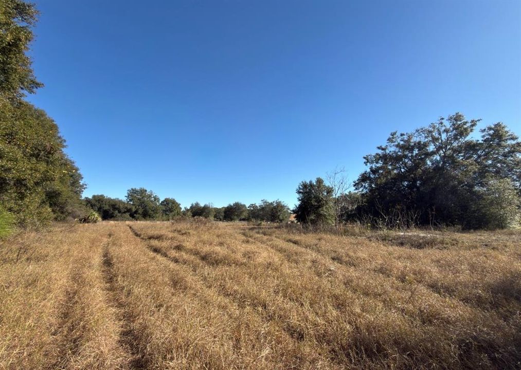 For Sale: $575,000 (10.45 acres)
