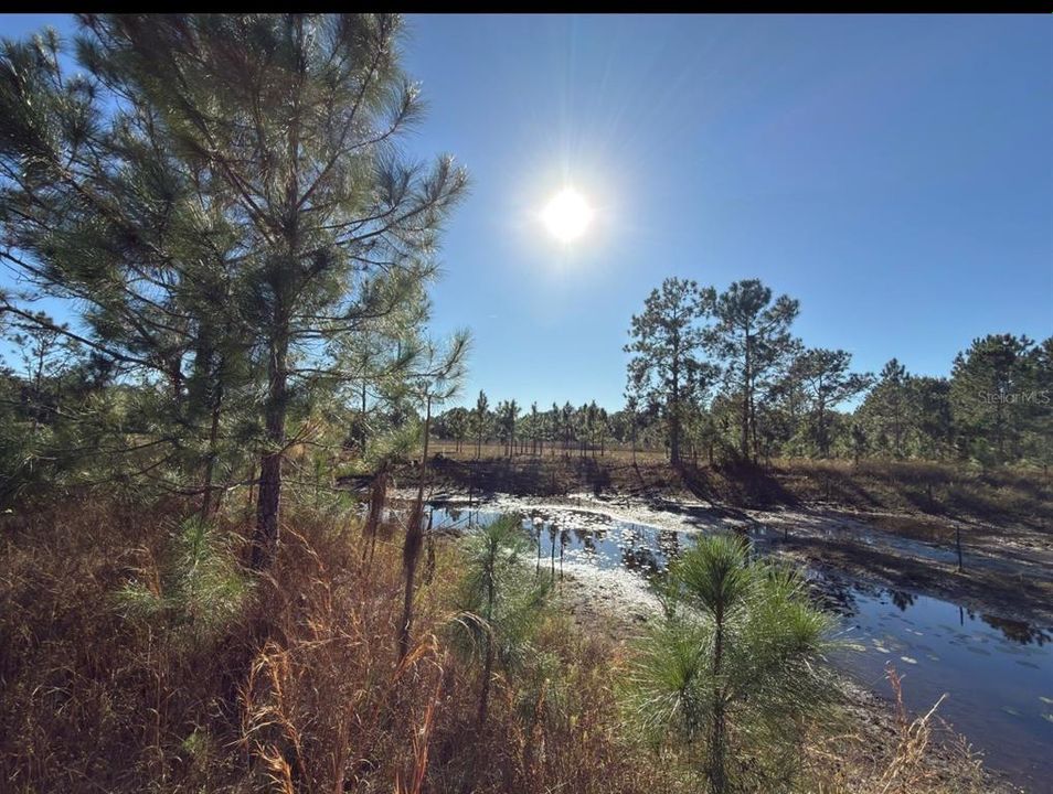 For Sale: $575,000 (10.45 acres)