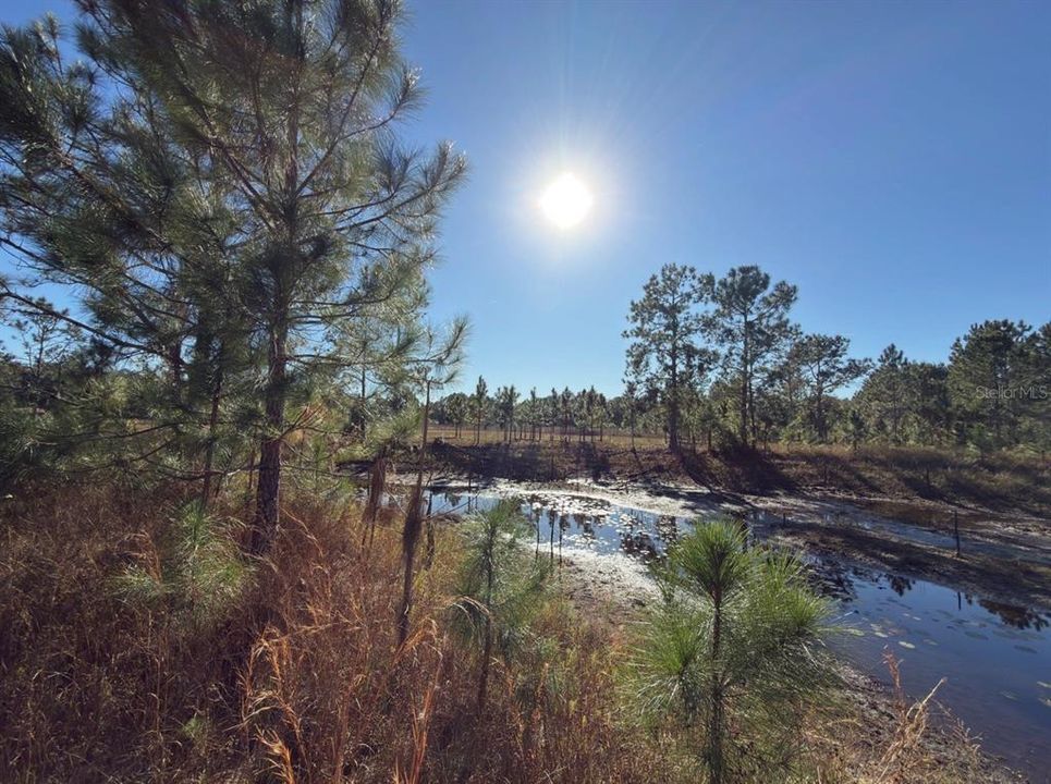 For Sale: $575,000 (10.45 acres)