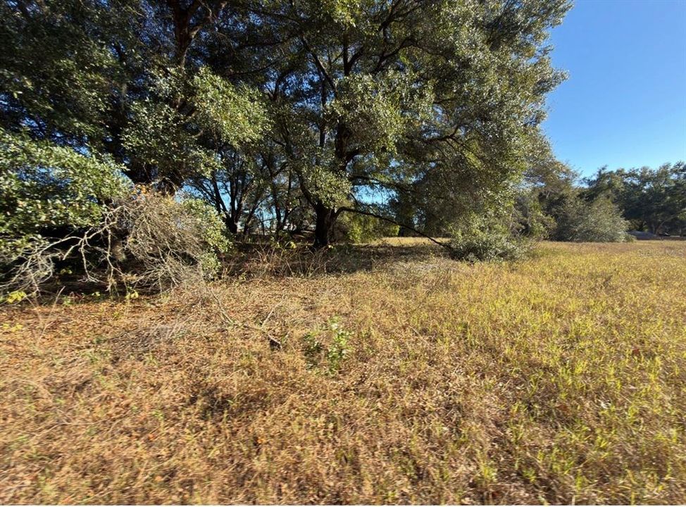 For Sale: $575,000 (10.45 acres)