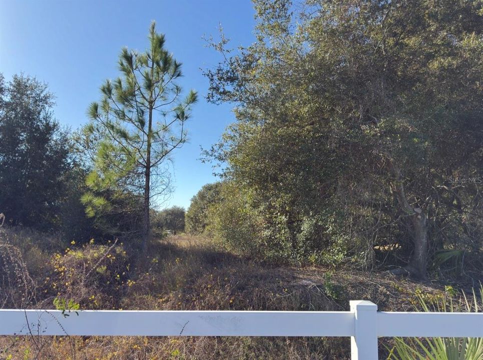 For Sale: $575,000 (10.45 acres)