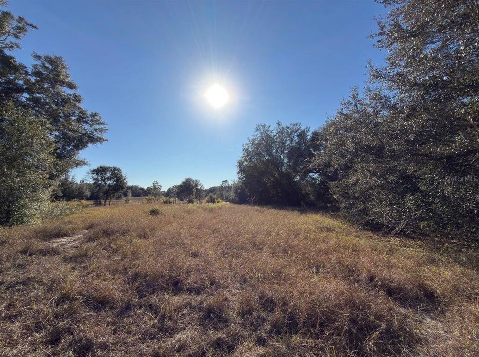 For Sale: $575,000 (10.45 acres)