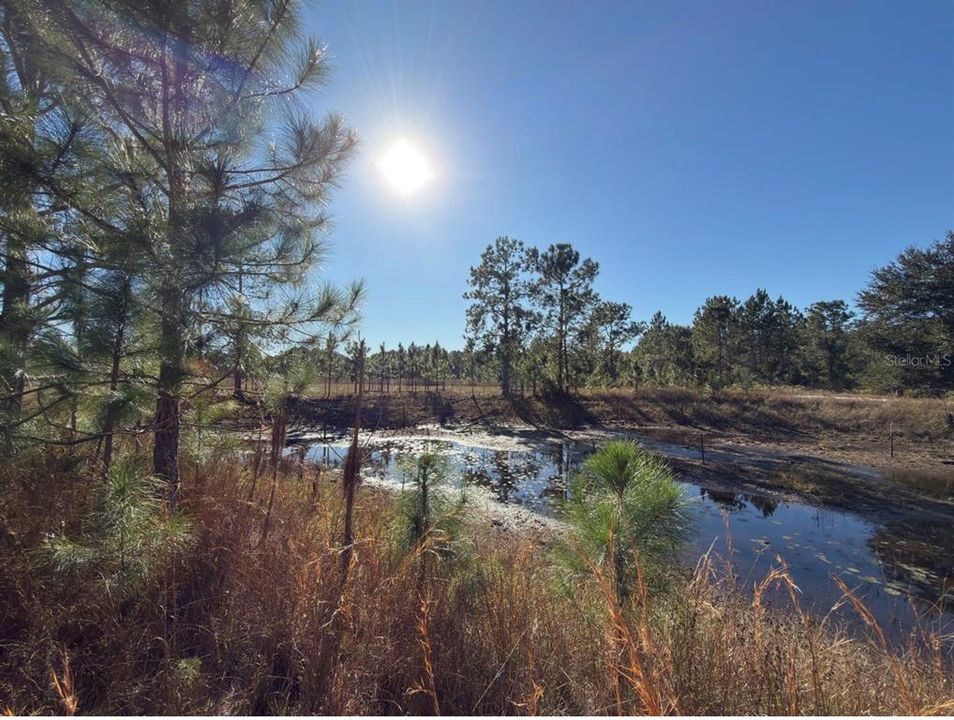 For Sale: $575,000 (10.45 acres)