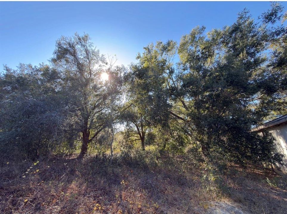 For Sale: $575,000 (10.45 acres)