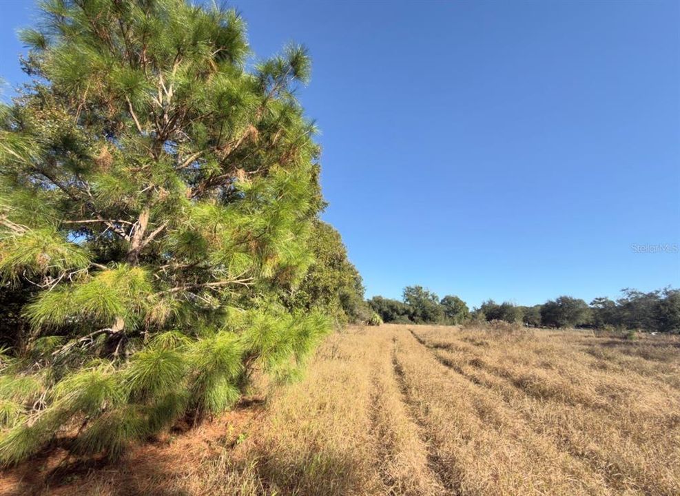 For Sale: $575,000 (10.45 acres)