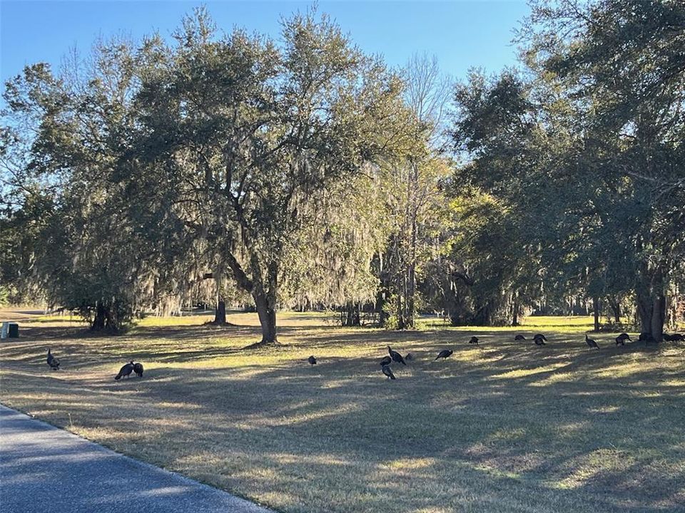 待售: $108,000 (3.96 acres)