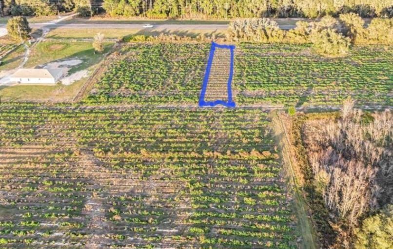 For Sale: $25,000 (0.34 acres)