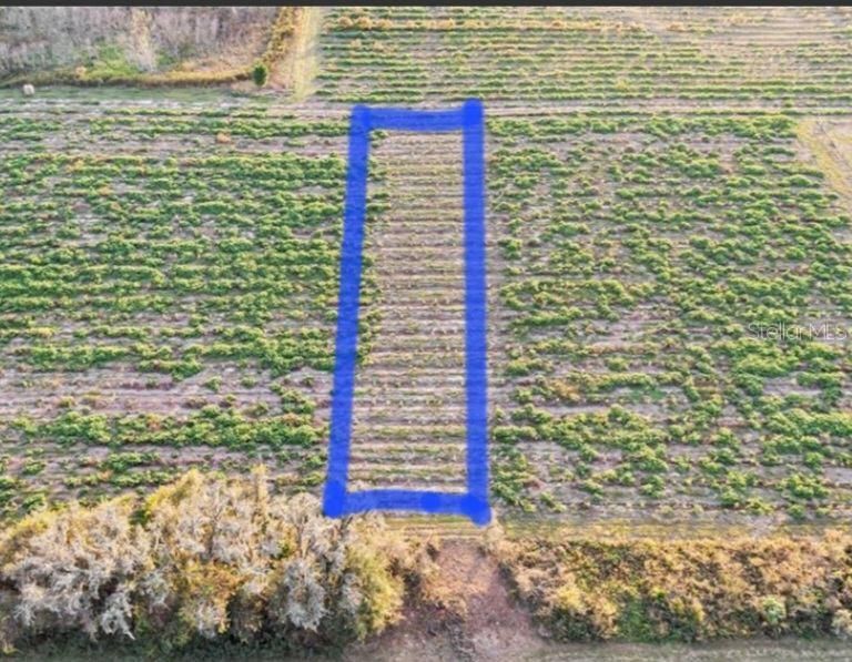 For Sale: $25,000 (0.34 acres)