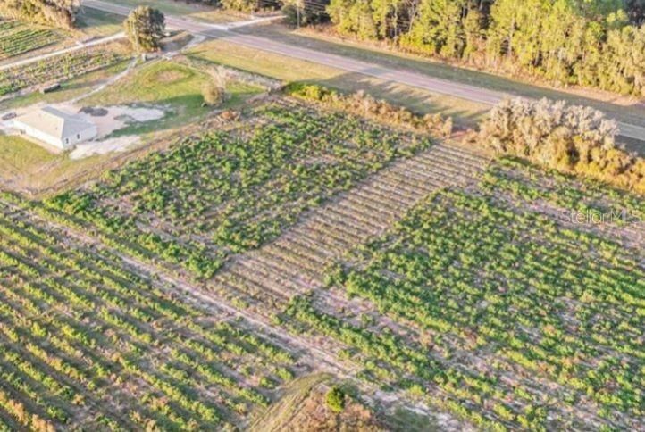 For Sale: $25,000 (0.34 acres)