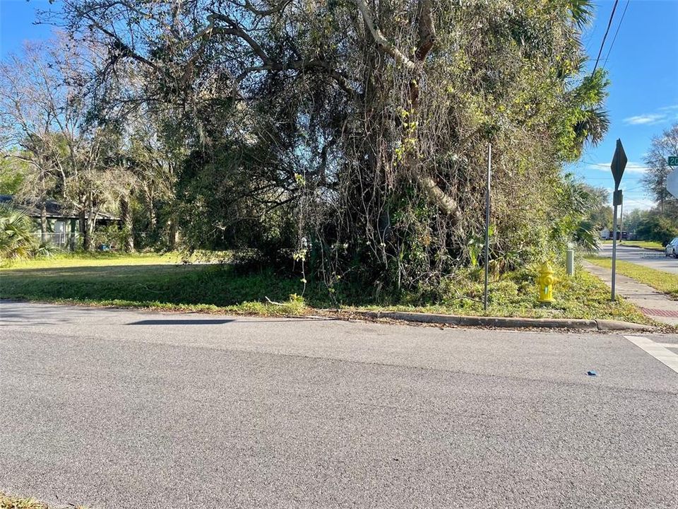 For Sale: $55,000 (0.11 acres)