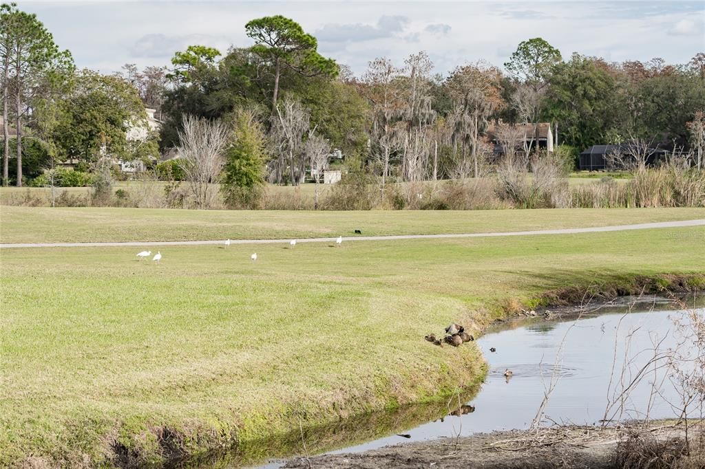待售: $1,150,000 (5 贝兹, 3 浴室, 4242 平方英尺)