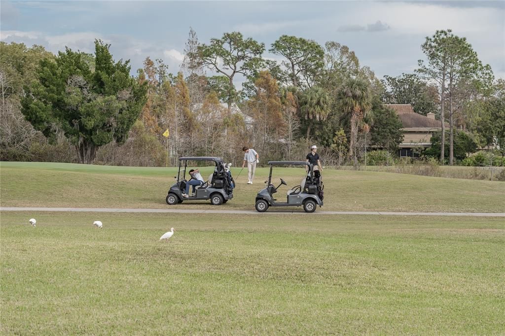 待售: $1,150,000 (5 贝兹, 3 浴室, 4242 平方英尺)