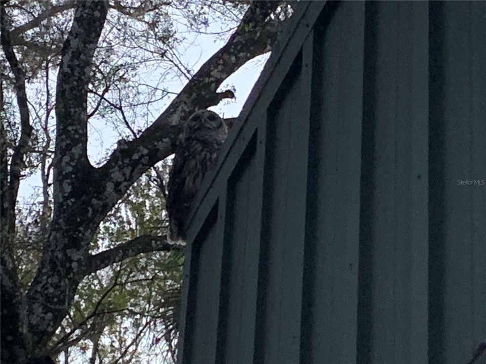 En Venta: $580,000 (3 camas, 3 baños, 1444 Pies cuadrados)