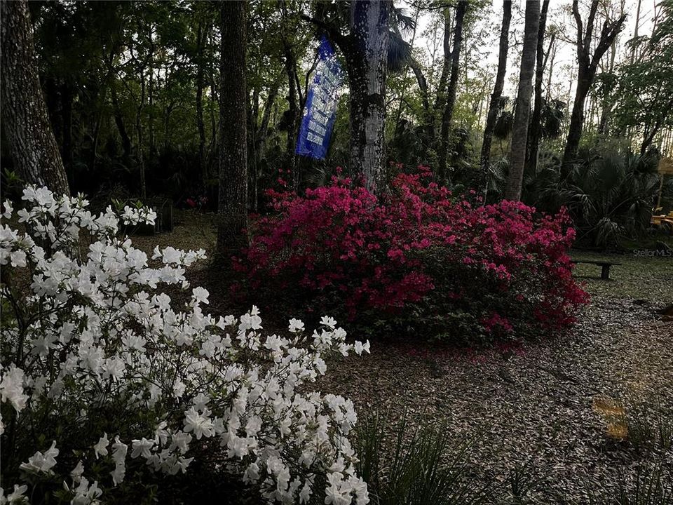 En Venta: $580,000 (3 camas, 3 baños, 1444 Pies cuadrados)