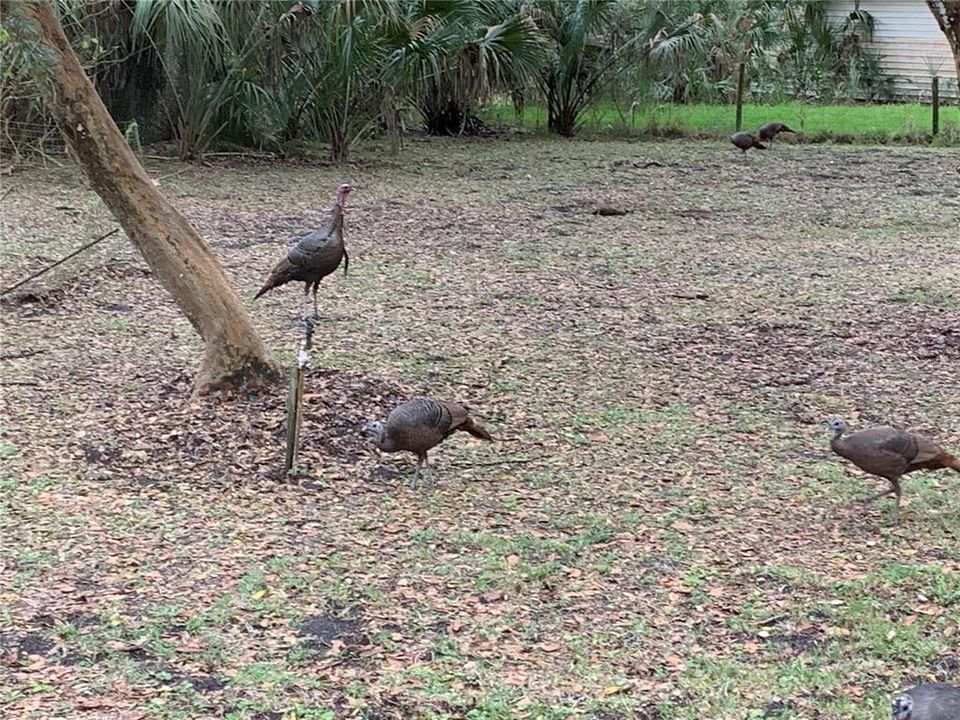 En Venta: $580,000 (3 camas, 3 baños, 1444 Pies cuadrados)