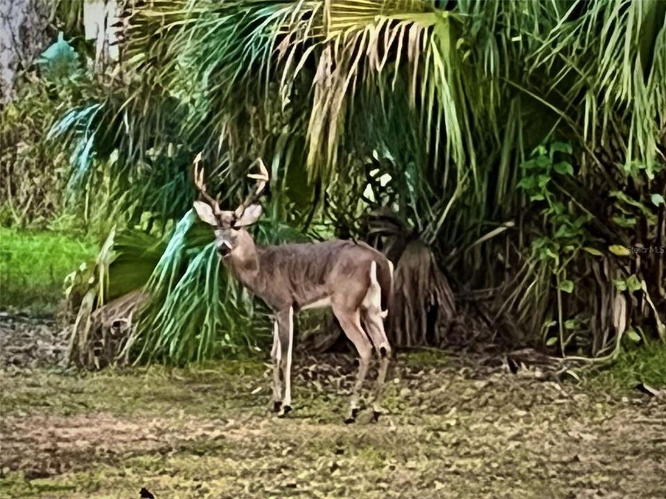 En Venta: $580,000 (3 camas, 3 baños, 1444 Pies cuadrados)